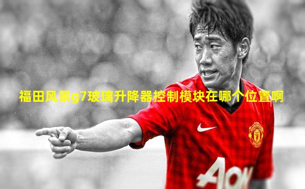 福田风景g7玻璃升降器控制模块在哪个位置啊
