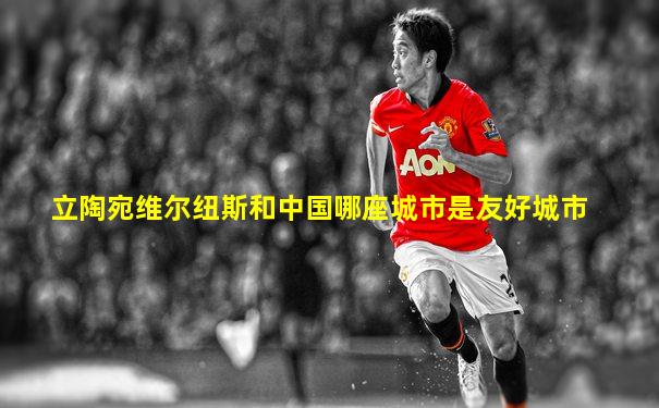 立陶宛维尔纽斯和中国哪座城市是友好城市