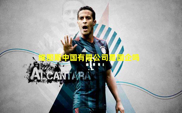 维图斯中国有限公司是国企吗