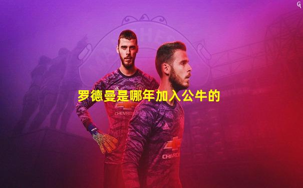 罗德曼是哪年加入公牛的