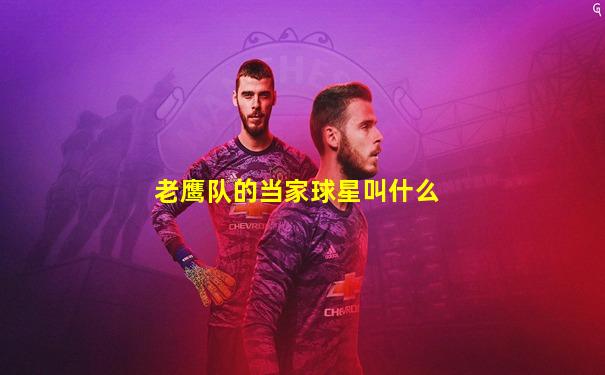 老鹰队的当家球星叫什么