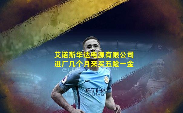 艾诺斯华达电源有限公司进厂几个月来买五险一金