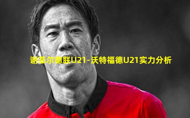 谢菲尔德联U21-沃特福德U21实力分析