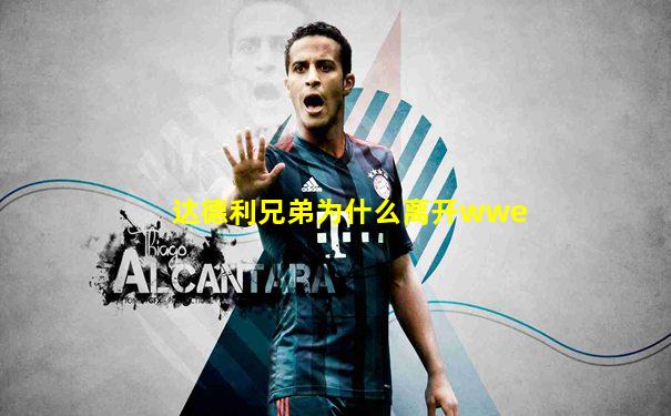 达德利兄弟为什么离开wwe