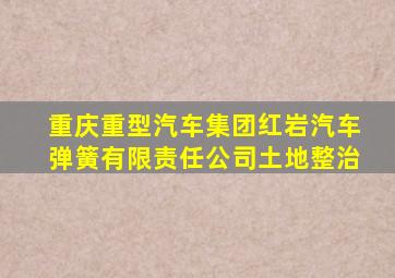 重庆重型汽车集团红岩汽车弹簧有限责任公司土地整治