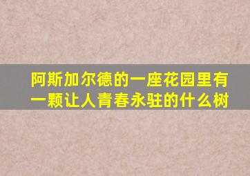 阿斯加尔德的一座花园里有一颗让人青春永驻的什么树