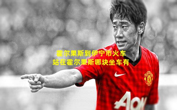 霍尔果斯到伊宁市火车站在霍尔果斯哪块坐车有