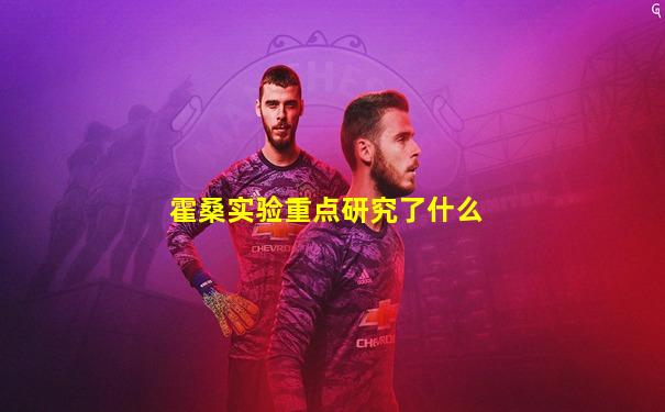 霍桑实验重点研究了什么