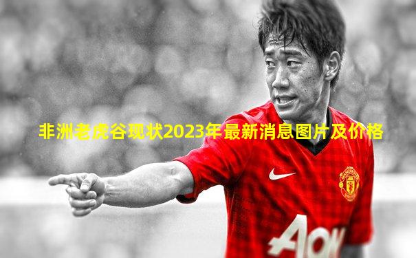 非洲老虎谷现状2023年最新消息图片及价格