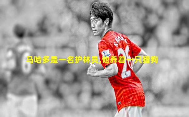 马哈多是一名护林员,他养着一只猎狗