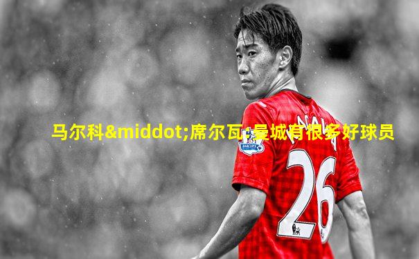 马尔科·席尔瓦:曼城有很多好球员