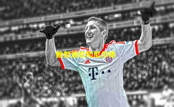 鲍勃迪伦和尼尔杨