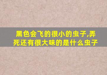 黑色会飞的很小的虫子,弄死还有很大味的是什么虫子